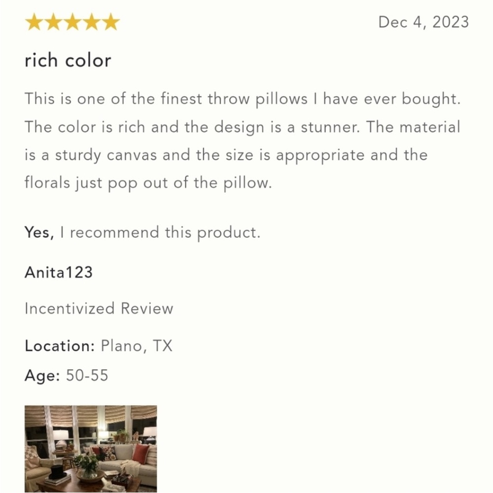 Anthropologie Jadie Pillow SOLD OUT - Picture 6 of 9